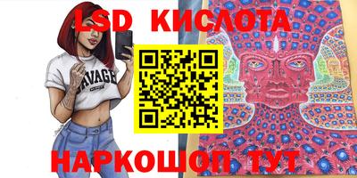 сатива Тверь