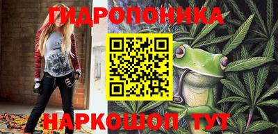 сатива Тверь