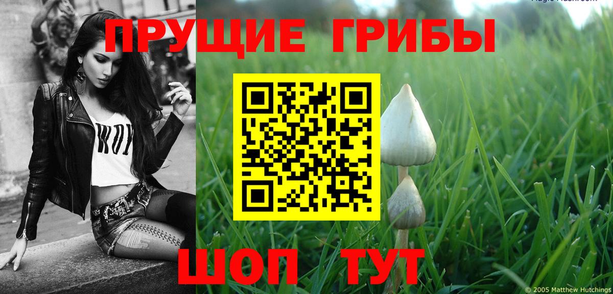 Галлюциногенные грибы MAGIC MUSHROOMS Вятские Поляны