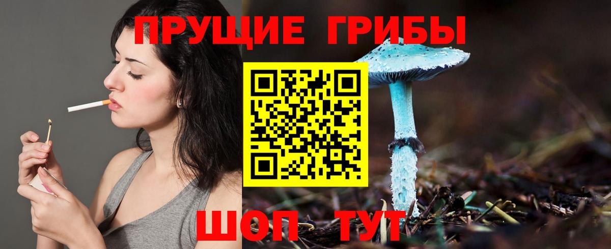 где можно купить наркотик  Галлюциногенные грибы ЛСД  Вход с VPN  Вятские Поляны 